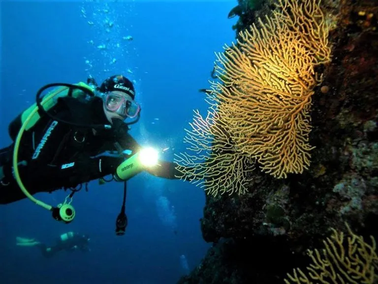 Deep scuba diving split