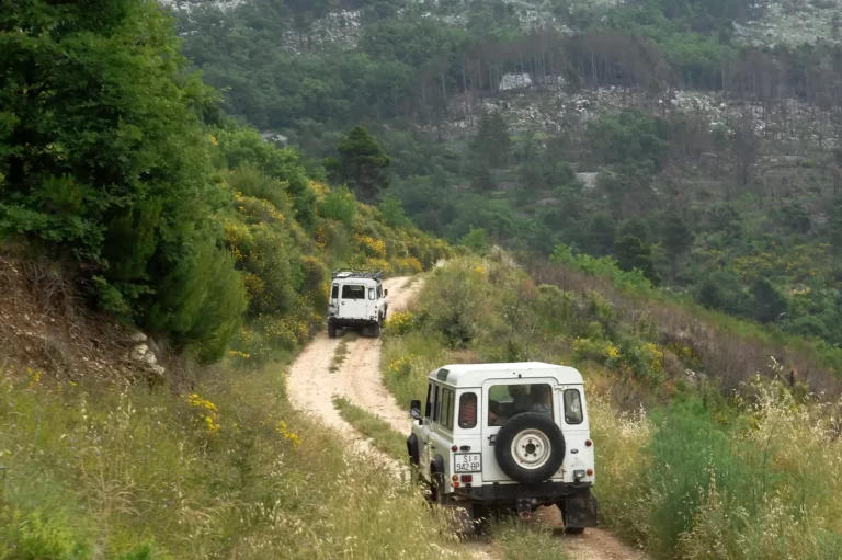 Mountain road adventure vehicles split